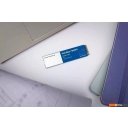 SSD WD Blue SN570 250GB WDS250G3B0C