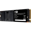 SSD PC Pet 1TB PCPS001T3