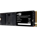 SSD PC Pet 1TB PCPS001T3