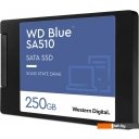 SSD WD Blue SA510 250GB WDS250G3B0A