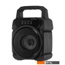 Беспроводные и портативные колонки Digma D-PS1500