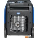 Генераторы ТСС 5000ESi
