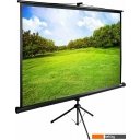Проекционные экраны CACTUS TriExpert 135x180 CS-PSTE-180X135-BK