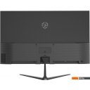 Мониторы Raskat I24F10DA