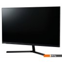 Мониторы SunWind SUN-M24BG110