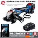 Угловые шлифмашины (болгарки) Зубр Профессионал AB-125-41 (с 1-м АКБ, сумка)