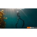 Экшен-камеры GoPro HERO11 Black Mini