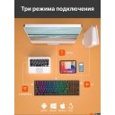 Клавиатуры Royal Kludge RK100 RGB (черный, RK Brown)