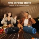 Беспроводные и портативные колонки Tronsmart Mirtune S100 (черный)