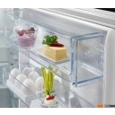 Холодильники AEG TwinTech 6000 OSC6N181ES