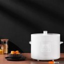 Мультиварки Xiaomi Electric Pressure Cooker 4.8L MYL02-1 (евровилка)