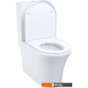 Унитазы IDDIS Stone STNRDSEi24