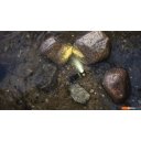 Фонари Armytek Elf C1 USB-С (холодный белый)