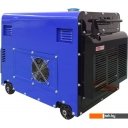 Генераторы ТСС DGW 7.0/250EDS-R в кожухе Генераторы ТСС DGW 7.0/250EDS-R в кожухе