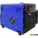 Генераторы ТСС DGW 7.0/250EDS-R в кожухе