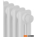 Радиаторы отопления Royal Thermo Insignia C2180 - 12 секций RAL9016