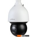 IP-камеры Dahua DH-SD5A225GB-HNR
