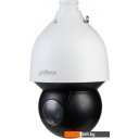 IP-камеры Dahua DH-SD5A225GB-HNR