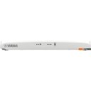 Синтезаторы и рабочие станции Yamaha DGX-670 (белый)