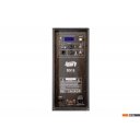 Концертная акустика Acury DS15