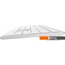 Клавиатуры A4Tech Fstyler FX50 (белый)