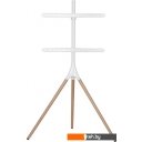 Кронштейны CACTUS CS-ST1246WTBCH