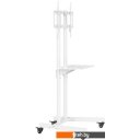 Кронштейны CACTUS CS-ST04WT