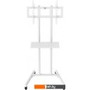 Кронштейны CACTUS CS-ST04WT