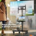 Кронштейны Onkron TS1137 (черный)