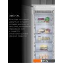 Холодильники Ascoli ASF230WBI