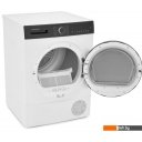 Стиральная машина Scandilux DM93THP