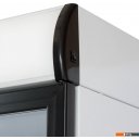 Торговые холодильники Бирюса B310P