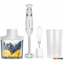 Блендеры Zigmund & Shtain BH-244 M Блендеры Zigmund & Shtain BH-244 M