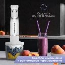 Блендеры Zigmund & Shtain BH-244 M