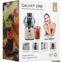 Соковыжималки Galaxy Line GL0811 (дымчатая роза)