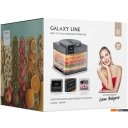 Сушилки для овощей и фруктов Galaxy Line GL2630 (серый)