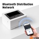 Принтеры и МФУ Deli P2000DNWs