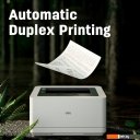 Принтеры и МФУ Deli P2000DNWs