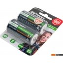 Батарейки, аккумуляторы, зарядные GoPower 00-00018323