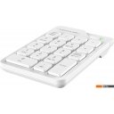Клавиатуры A4Tech Fstyler FGK21C (белый)