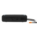 Беспроводные и портативные колонки Soundmax SM-PS5019B (черный)