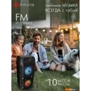 Беспроводные и портативные колонки Soundmax SM-PS4425