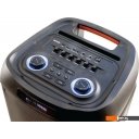 Беспроводные и портативные колонки Aiwa CAS-1251