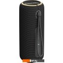 Беспроводные и портативные колонки Aiwa PAS-H200 (черный)