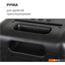 Беспроводные и портативные колонки Aiwa CAS-850