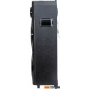 Беспроводные и портативные колонки Aiwa CAS-1001