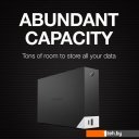 Внешние накопители Seagate One Touch Desktop Hub 6TB
