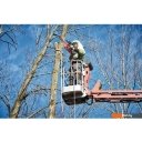 Цепные электро- и бензопилы Milwaukee M18 FCHS-121B Fuel 4933464223 (с 1-им АКБ)