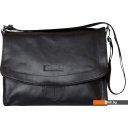 Женские и мужские сумки Carlo Gattini Classico Albano 5006-01 (черный)