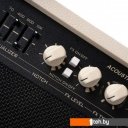 Гитарные комбоусилители Cort AF30